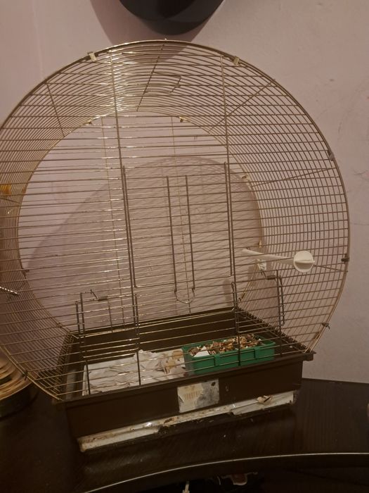 Продаётся Клетка с крысой