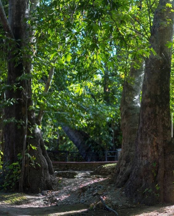 Восток — дело тонкое: обзорная прогулка по городу Самарканд и Бухара
