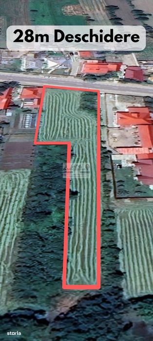 Teren intravilan 3129 mp | Deschidere 28 ml / Lespezi – Homocea