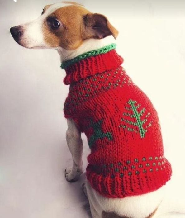 Вязание для собак