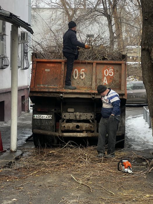 15.000 тенге. Спил деревьев,аварийных деревьев