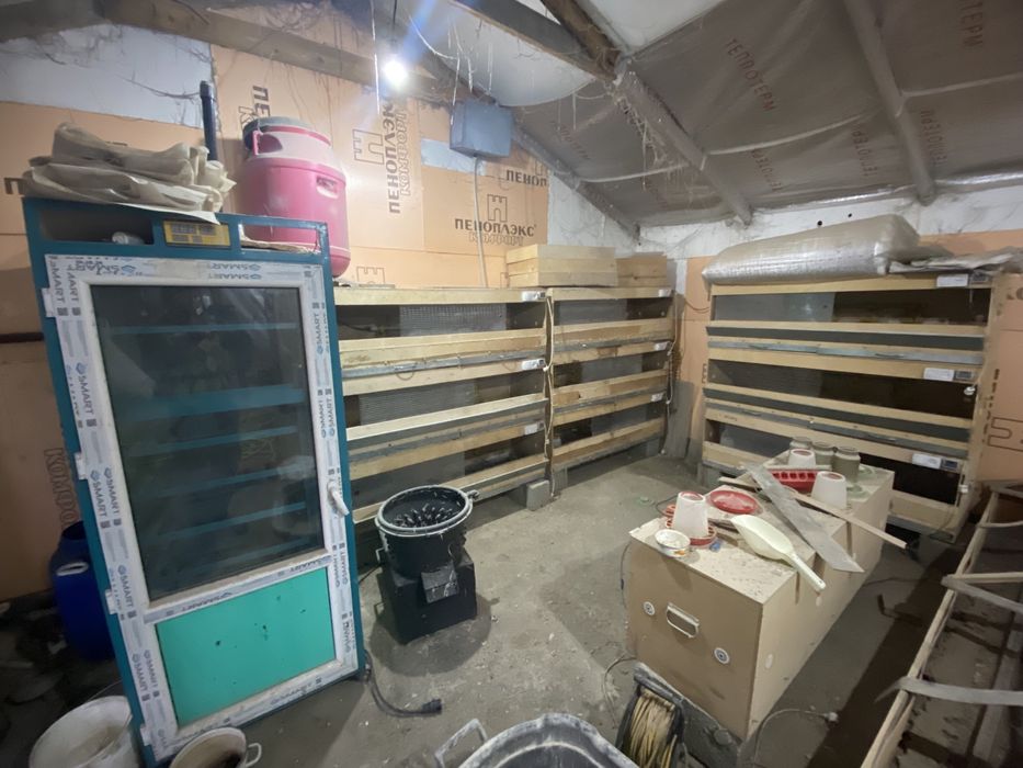 Балапанға арналған брудер сатылады