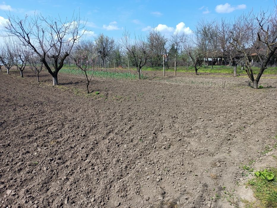 Къща с двор, с.Ситово Силистра