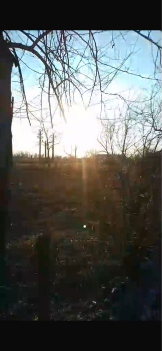 Vand teren Delta Dunari Chilia Veche 700 m2