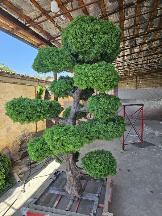 Дарахтлар йасаб берамиз сакура