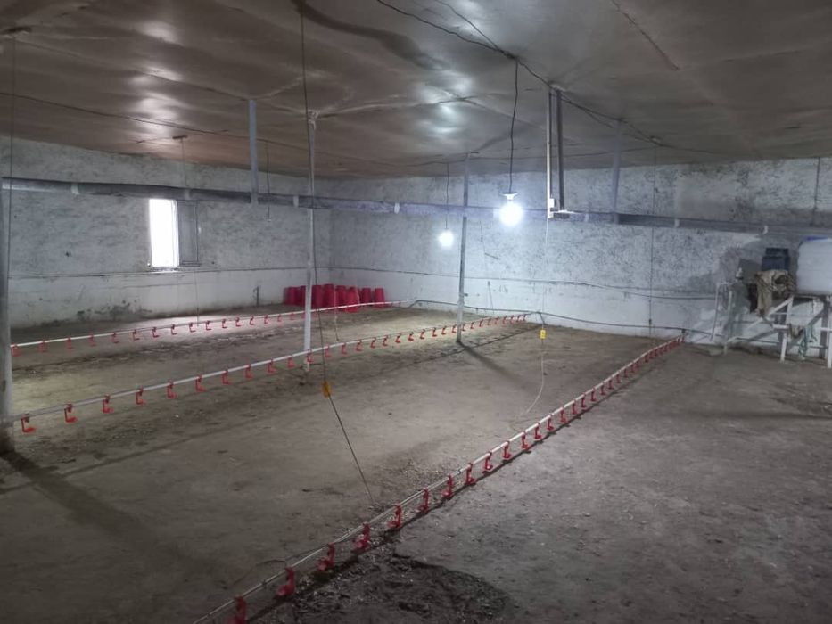 9 сотих ли участка сотилади