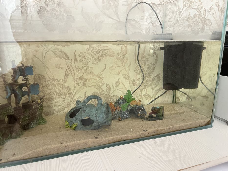 Аквариум с рыбками