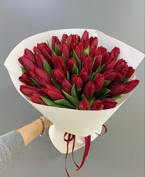 Премиум тюльпаны