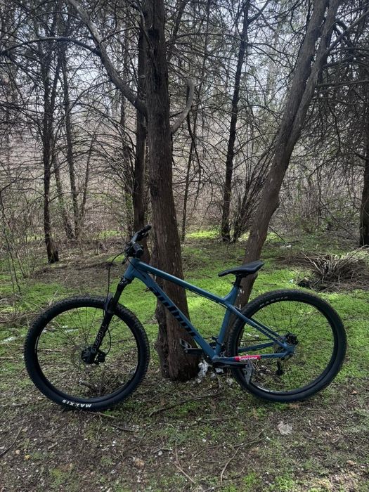 Author Versus 2.0 2024