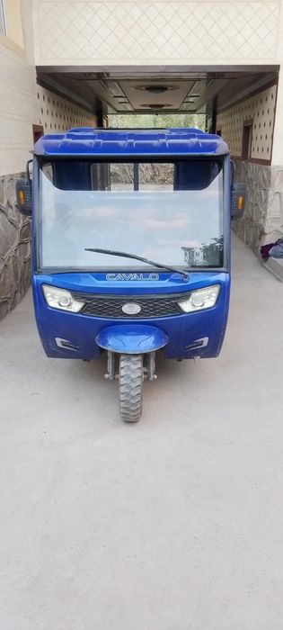 CAVALO Muravey benzinli