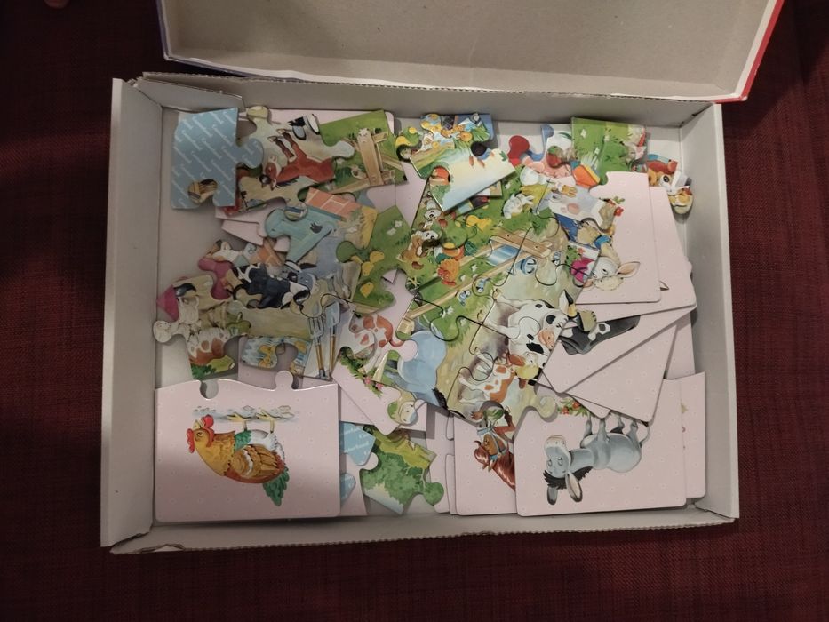Puzzle + cartonase copii 2_4 ani