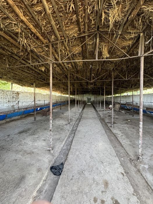 Срочно Йер нархида тайор Ферма обмен бор