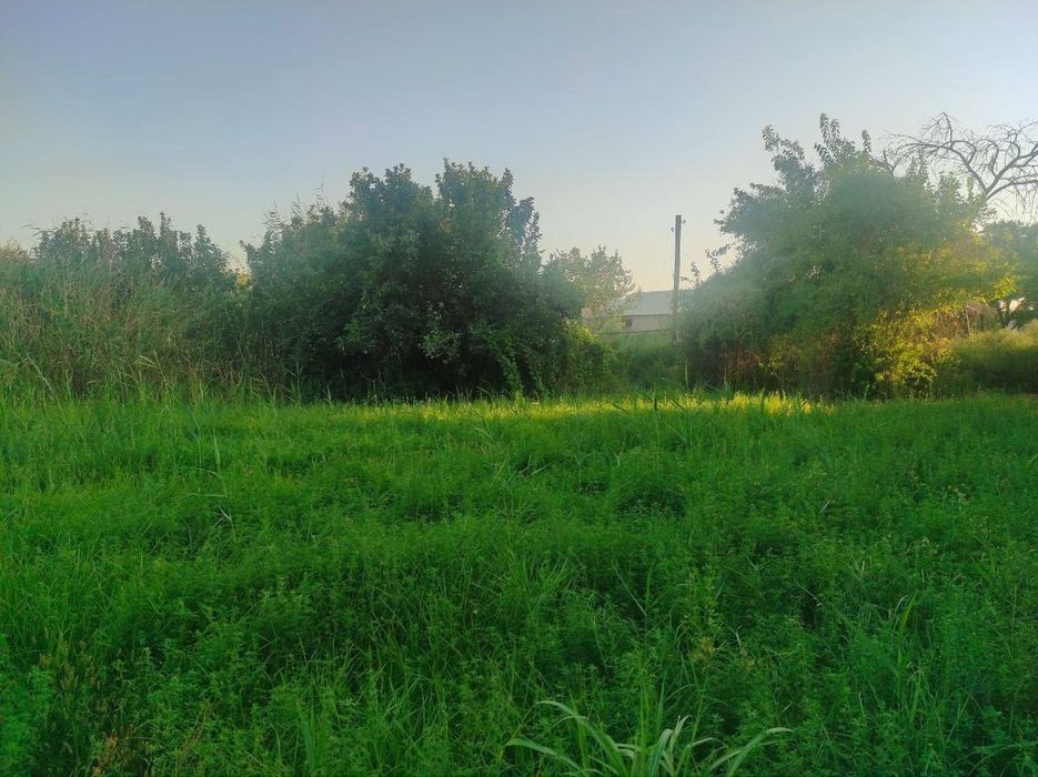 Дом в Бухаре 10 соток.