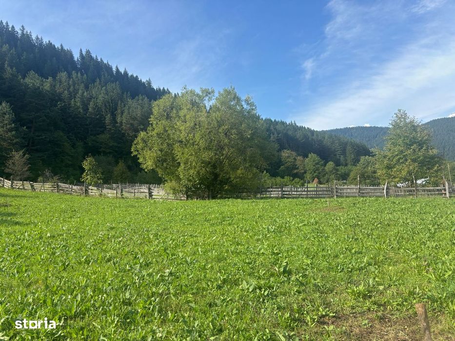 Teren Grințieș/Neamț