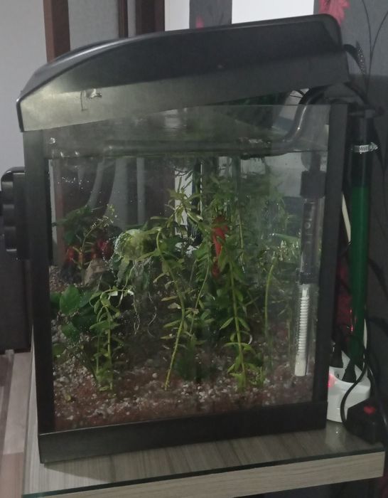 Acvariu 100litri