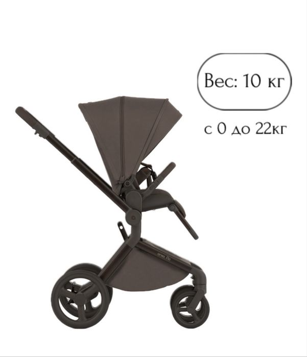 Коляска anex flo
