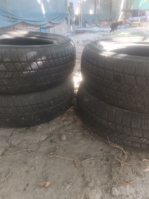 Pakriwka r15 195 ga 65