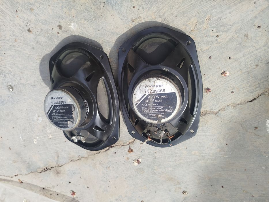 Pioneer arginal kalonka