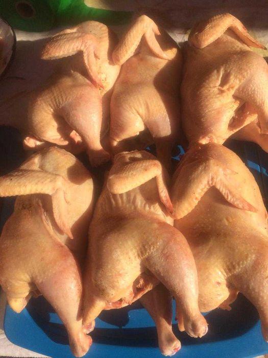 Продам копчености в Алматы