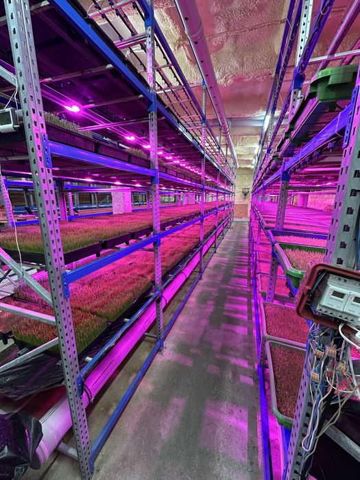 Готовый бизнес!!! Гидропоника