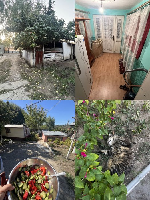Casă în vânzare la Târgu Bujor, Galați