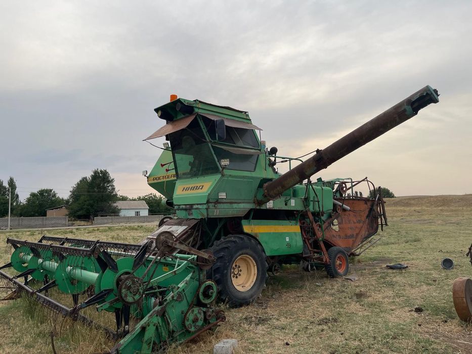 Нива эфеккты жагдайы жаксы