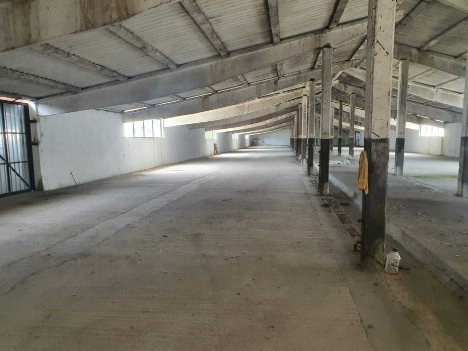 De inchiriat Depozite, Hale, service auto Filipesti E85 15 KM DE BACAU