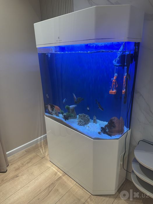 Cleir Aquatics orginal akril akvarium sotiladi
