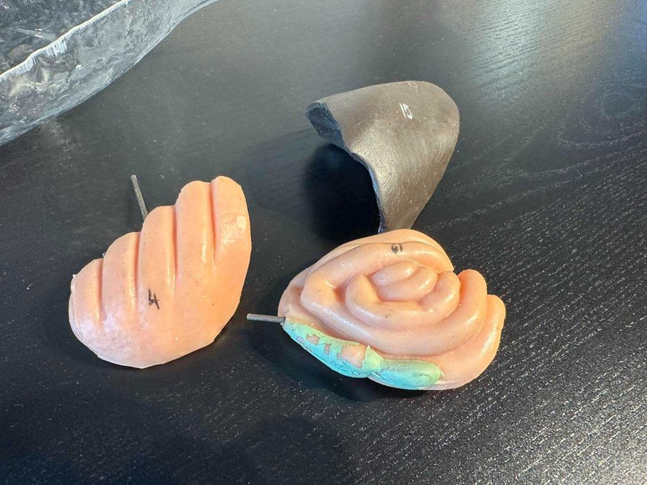 Соц Учебен Анатомичен Модел на Гълъб