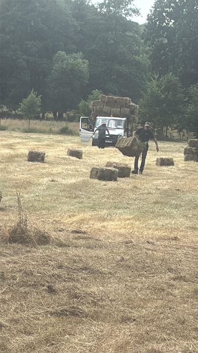 Vând 300 baloți de fân – 8 Lei / balot – Direct de pe loc!