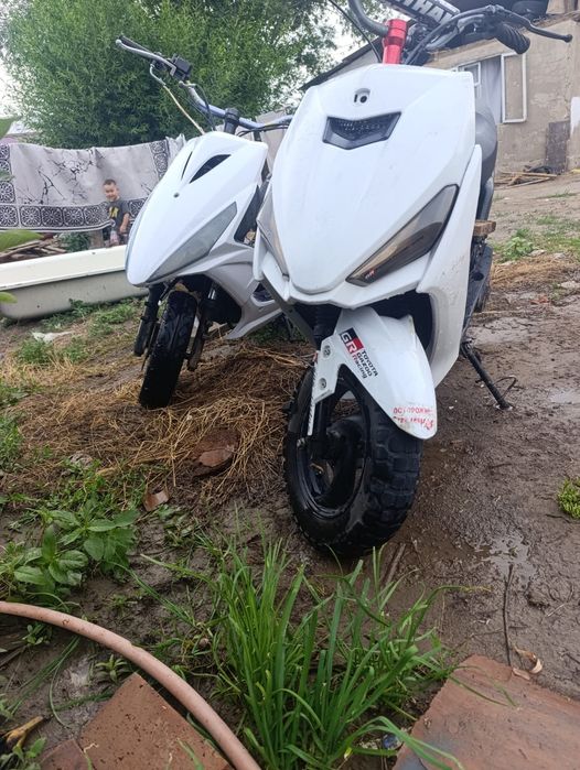 Angel gts peda 1