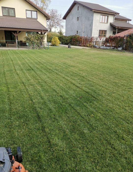 Amenajare si intretinere gradini AMO GARDEN