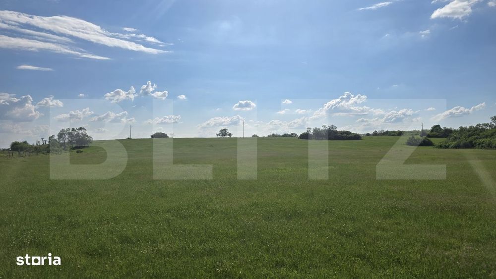 Teren agricol, comasat, apa, curent, 755000 mp, langa autostrada, Timi