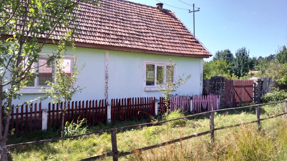 Vand casa in Susani