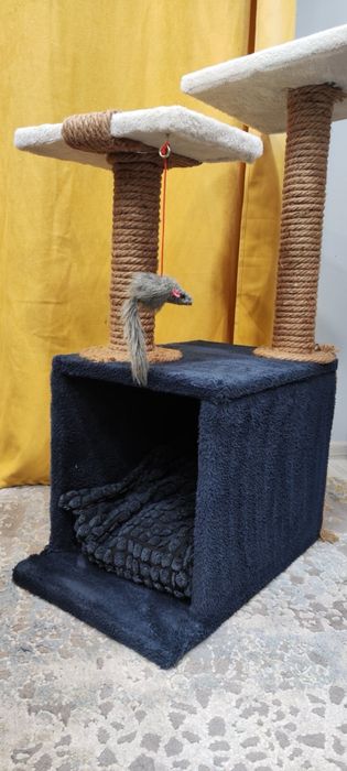 Котешка катерушка