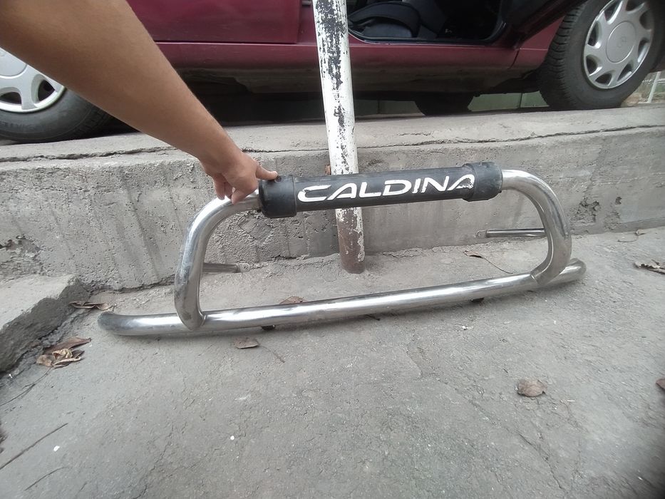 Кeнгурятник (Caldina)