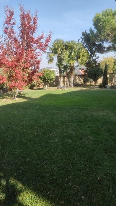 Поддръжка на дворове - Пловдив и региона