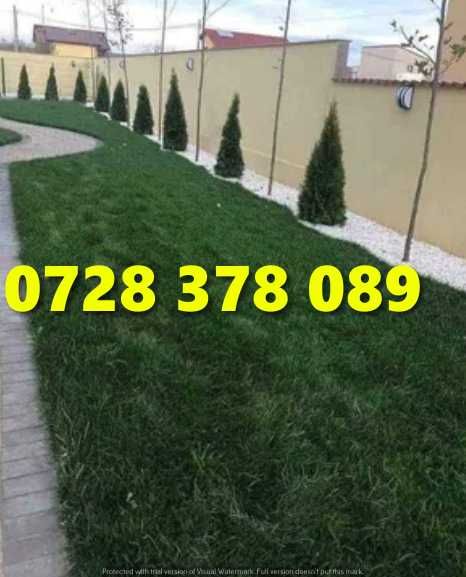 Gazon / Insamantare / Rulouri de Gazon