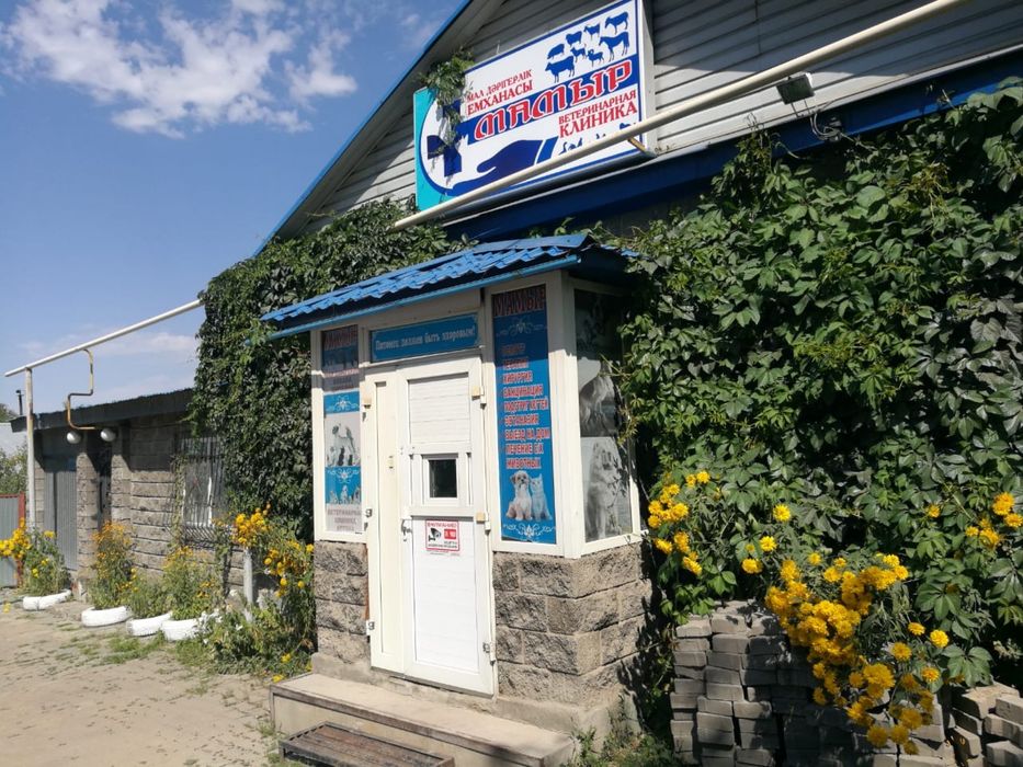 Ветеринар.Ветеринарная клиника "МАМЫР"