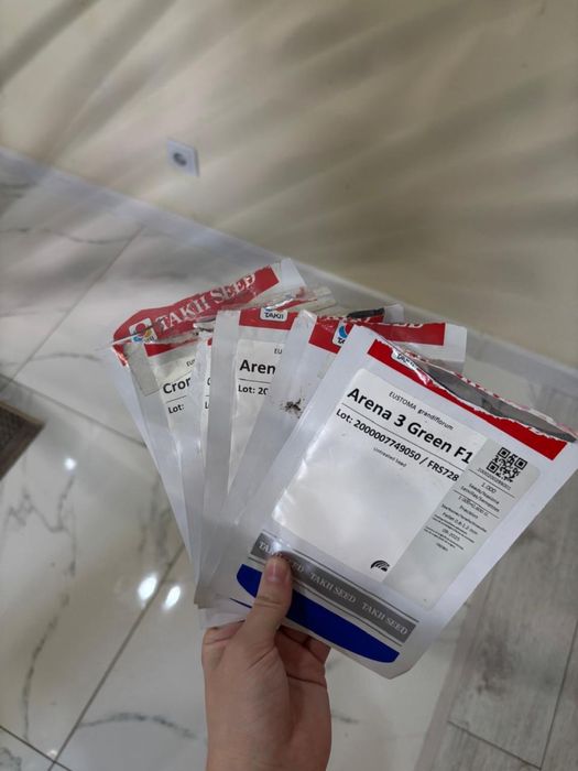 Эустома цветы рассада