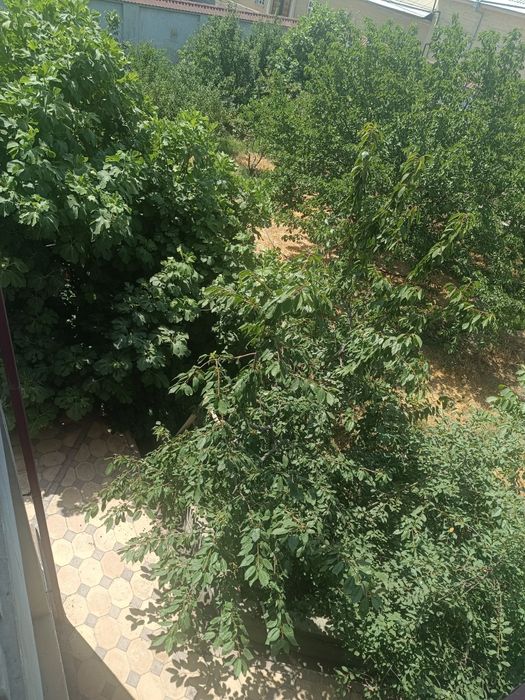 Продается земля 6 соток, в махалле Урганжи