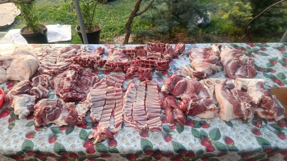 Qasoblik xizmati bor