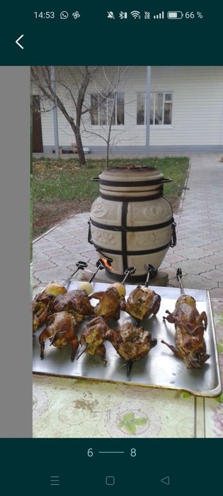 Мясо перепелов по 4300