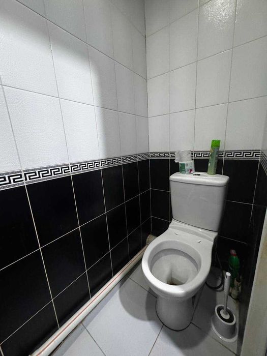 Тинчлик гунча   2/5/9   чистый