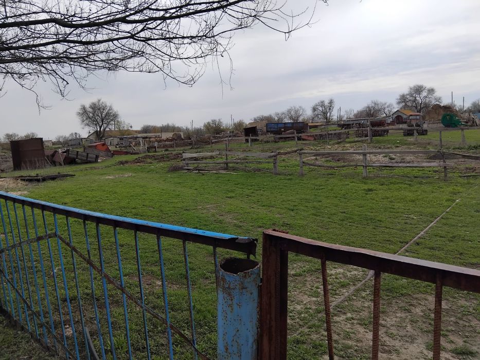 Продается дом в поселке