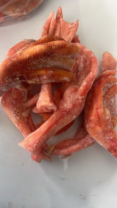 Продаю лапки домашних гусей.крупные