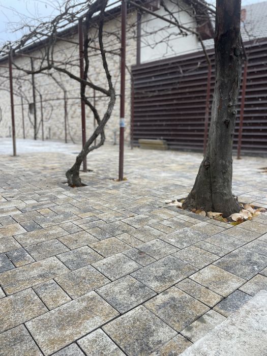 Montaj pavaj curți, parcări, alei – serios și durabil