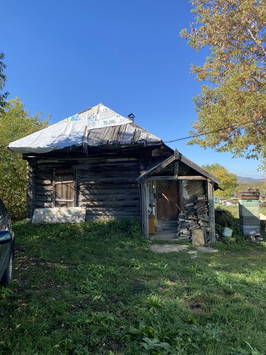 Продам пасеку в Календарке!