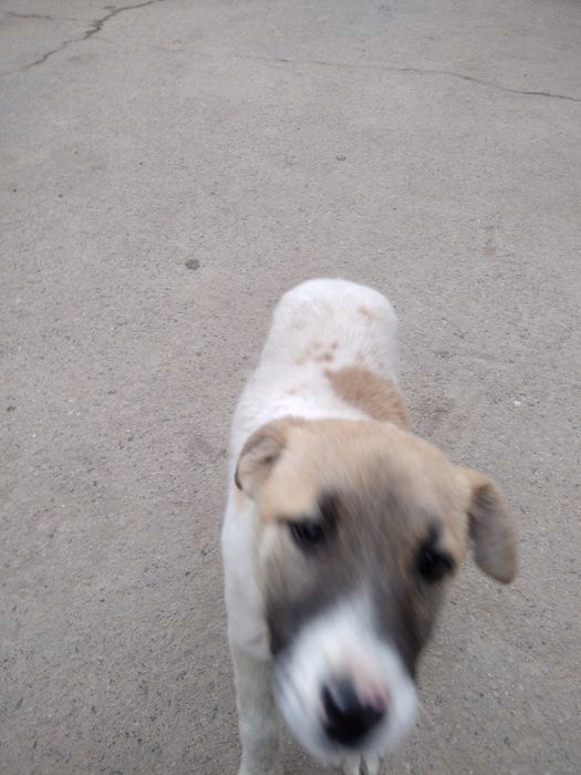 Срочно, срочно, срочно!!!