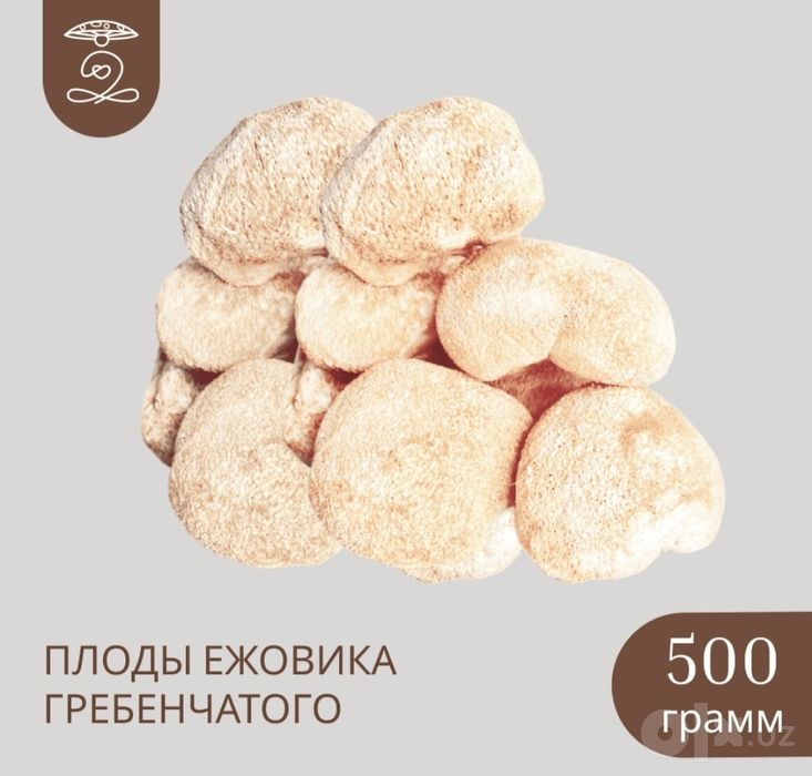 Ежовик грибенчатый капсулы сушенный мицелий